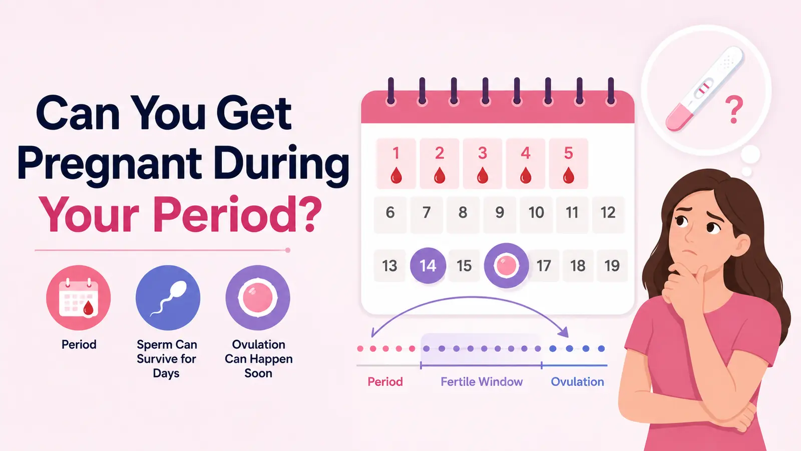 Can you get pregnant during your period and how menstrual cycle timing affects pregnancy